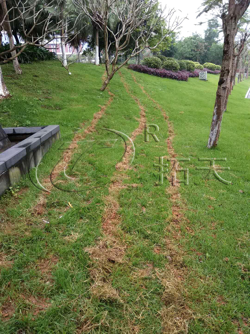 广州某银行埋地泄漏报警系统案例