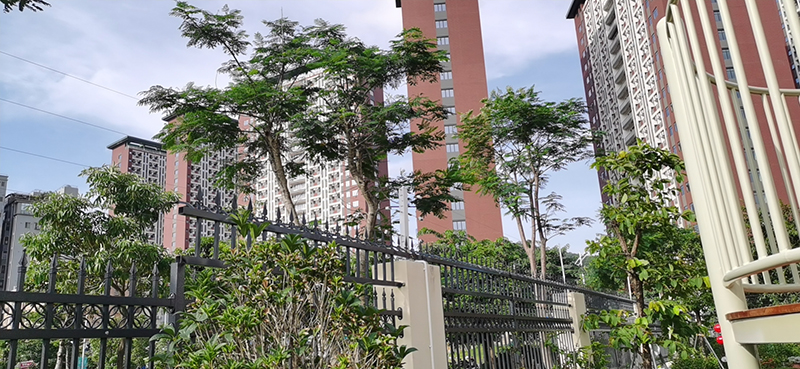 深圳新美幼儿园-张力围栏
