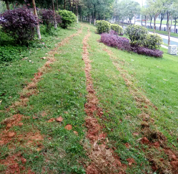 埋地泄漏电缆产品功能和运用